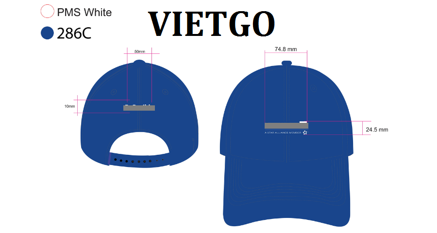 mu-vietgo-090119